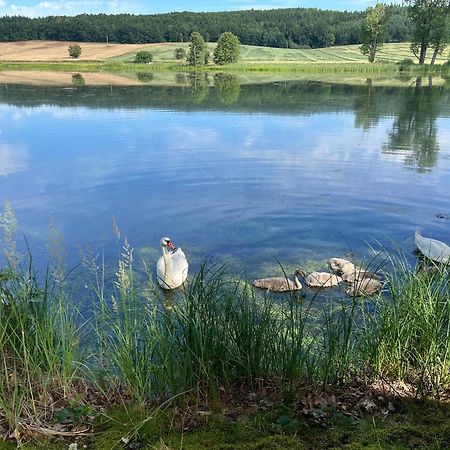 Chaty U Žabáka Netolice Exterior foto